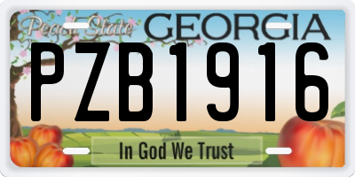 GA license plate PZB1916