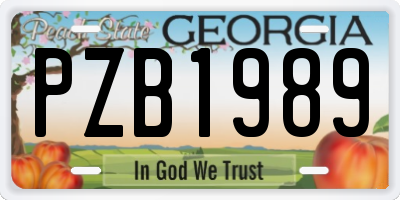 GA license plate PZB1989
