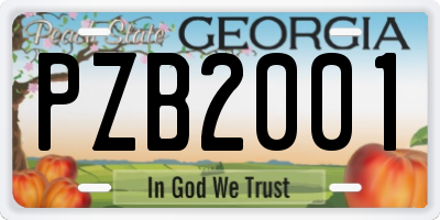 GA license plate PZB2001