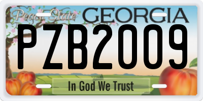 GA license plate PZB2009