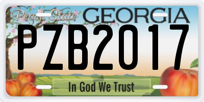 GA license plate PZB2017