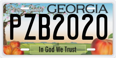 GA license plate PZB2020
