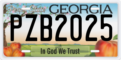 GA license plate PZB2025