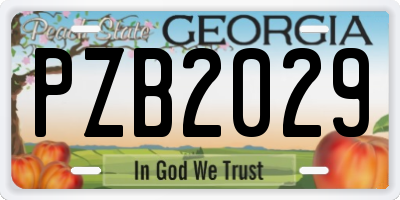 GA license plate PZB2029