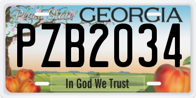 GA license plate PZB2034