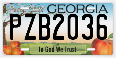 GA license plate PZB2036