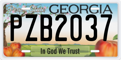 GA license plate PZB2037