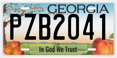 GA license plate PZB2041