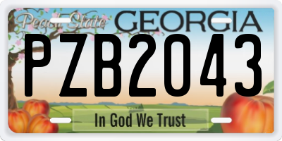 GA license plate PZB2043