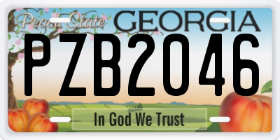 GA license plate PZB2046
