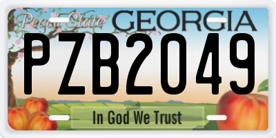 GA license plate PZB2049