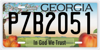 GA license plate PZB2051