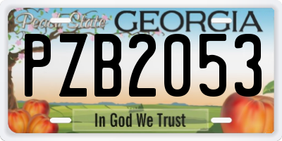 GA license plate PZB2053