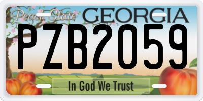 GA license plate PZB2059