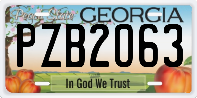 GA license plate PZB2063