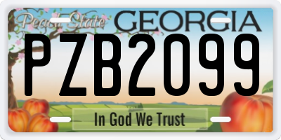 GA license plate PZB2099