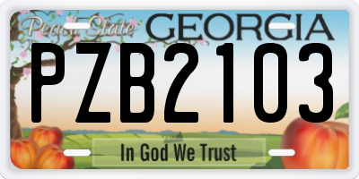 GA license plate PZB2103