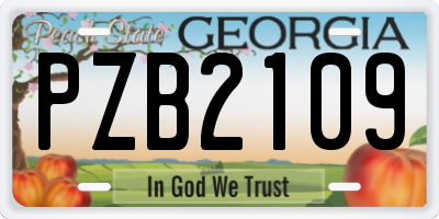 GA license plate PZB2109