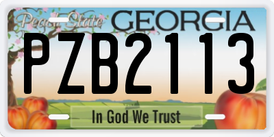 GA license plate PZB2113