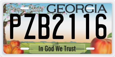 GA license plate PZB2116