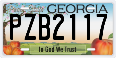GA license plate PZB2117