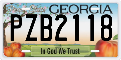 GA license plate PZB2118