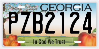 GA license plate PZB2124