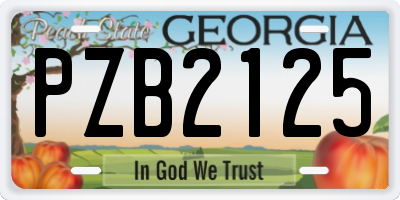GA license plate PZB2125