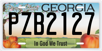 GA license plate PZB2127