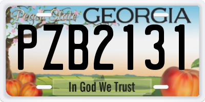 GA license plate PZB2131
