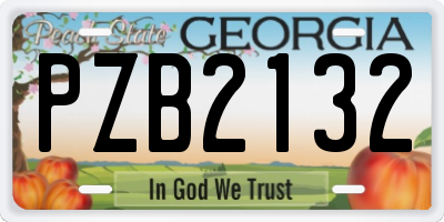 GA license plate PZB2132