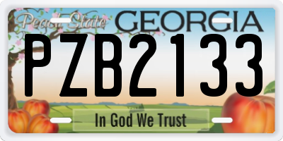 GA license plate PZB2133