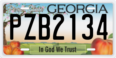 GA license plate PZB2134