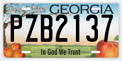 GA license plate PZB2137