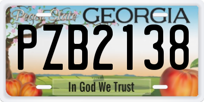 GA license plate PZB2138