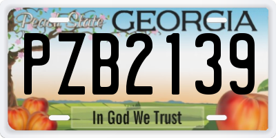 GA license plate PZB2139