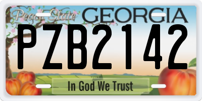 GA license plate PZB2142