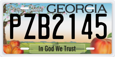 GA license plate PZB2145