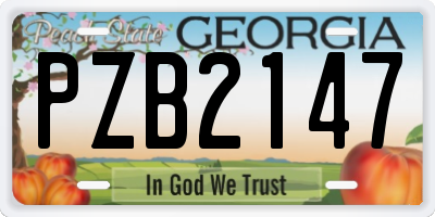 GA license plate PZB2147