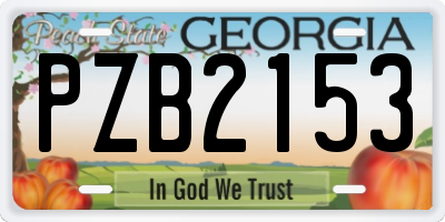 GA license plate PZB2153