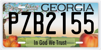 GA license plate PZB2155