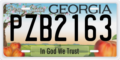 GA license plate PZB2163