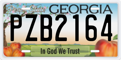 GA license plate PZB2164