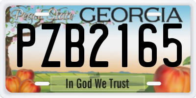 GA license plate PZB2165