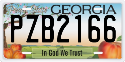 GA license plate PZB2166