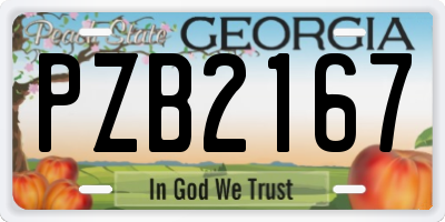 GA license plate PZB2167
