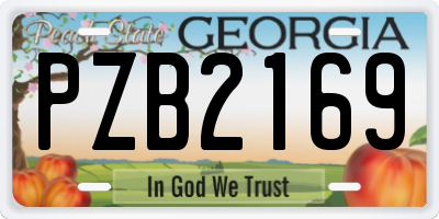 GA license plate PZB2169