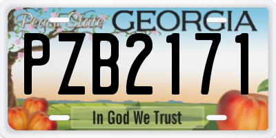 GA license plate PZB2171