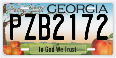 GA license plate PZB2172
