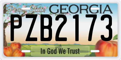 GA license plate PZB2173